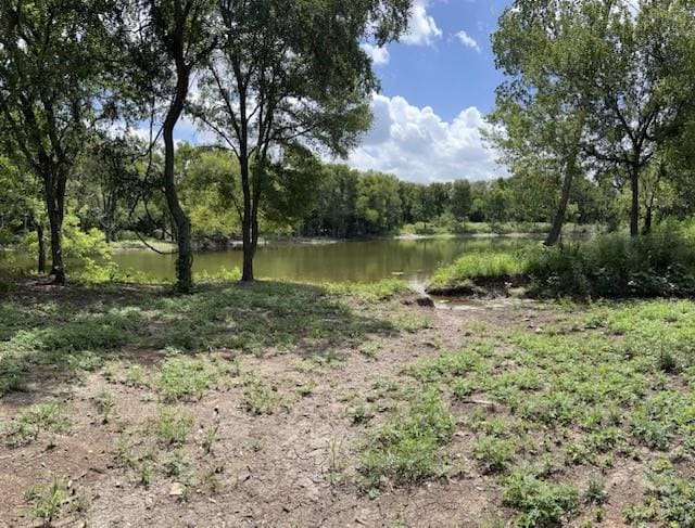 view of local wilderness with a water view