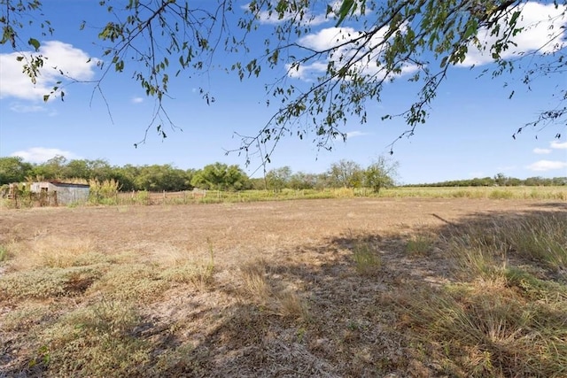 view of local wilderness with a rural view