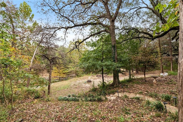 view of local wilderness