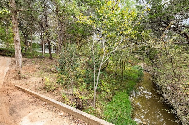 view of local wilderness featuring a water view