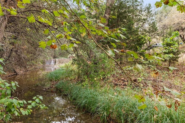 view of landscape featuring a water view