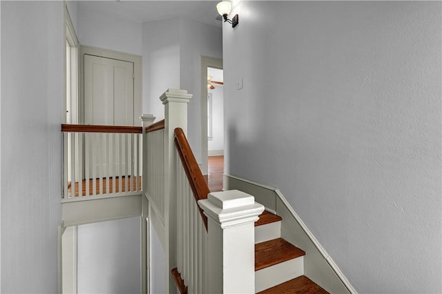 stairway with ceiling fan and wood-type flooring