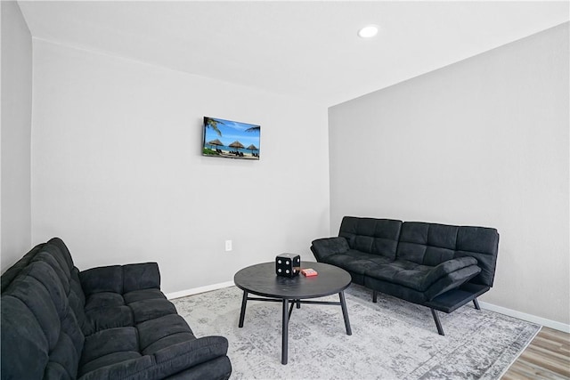 living room featuring light hardwood / wood-style flooring