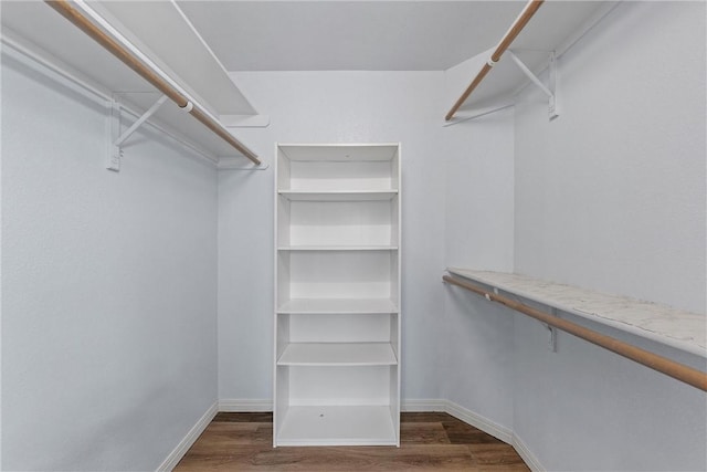 spacious closet featuring dark wood-type flooring