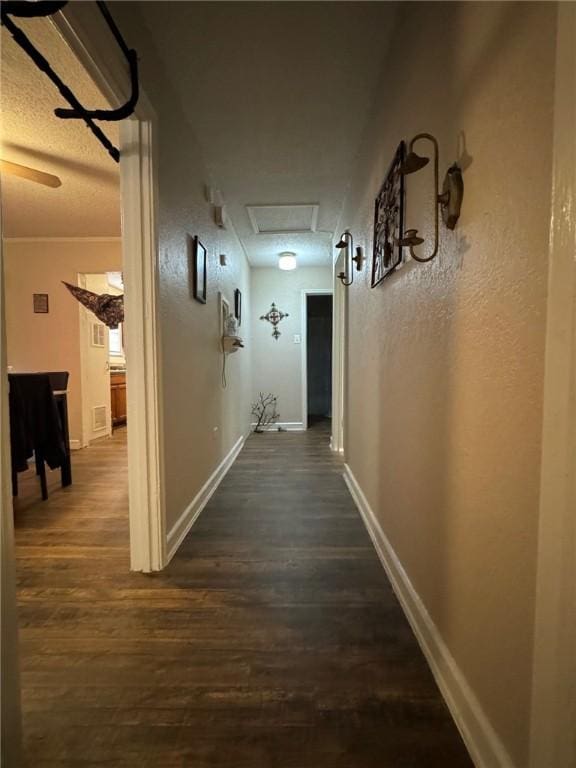 corridor featuring dark hardwood / wood-style floors