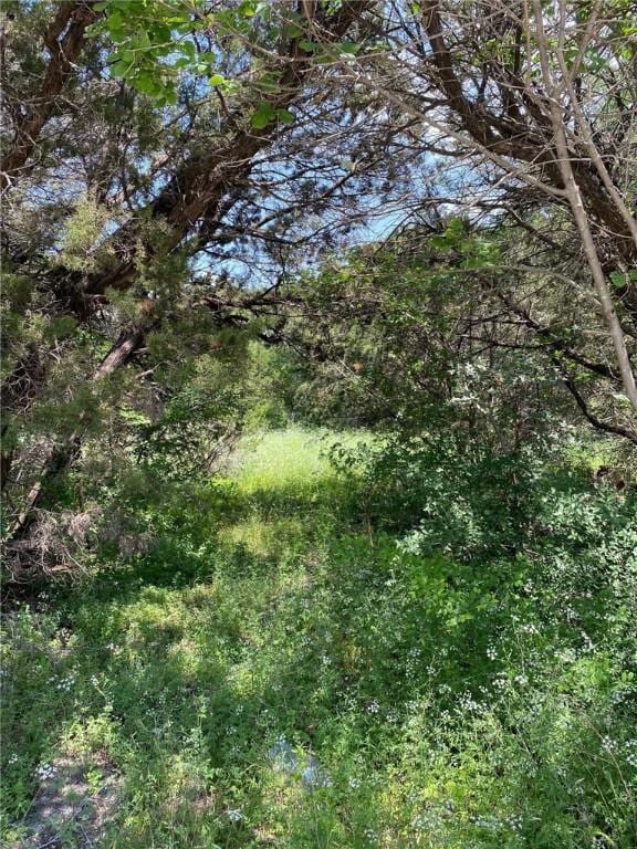 TBD Cr 1808 Road, Clifton TX, 76634 land for sale