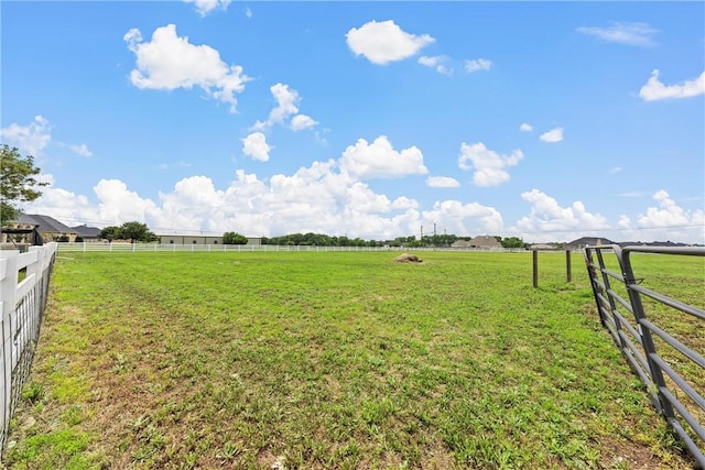 view of yard featuring a rural view