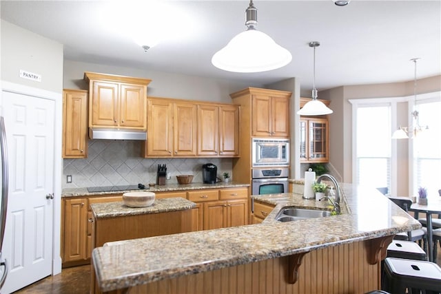 kitchen with decorative backsplash, appliances with stainless steel finishes, a kitchen island with sink, under cabinet range hood, and a sink