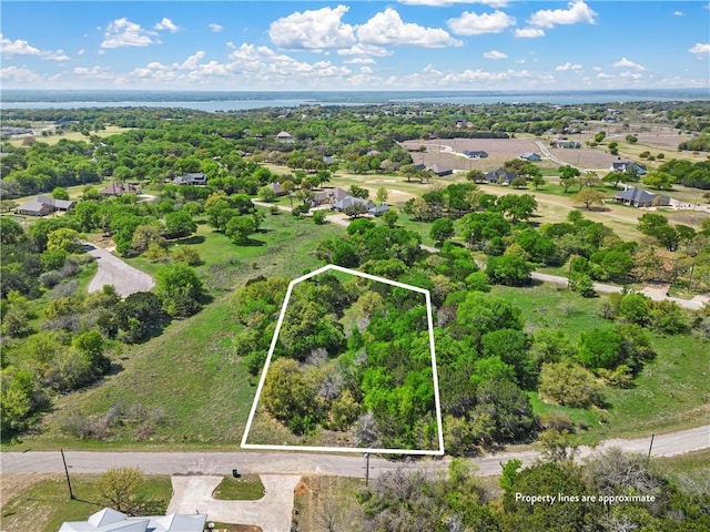 14079 Sandy Oaks Dr, Whitney TX, 76692 land for sale