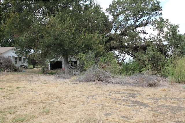 view of nature