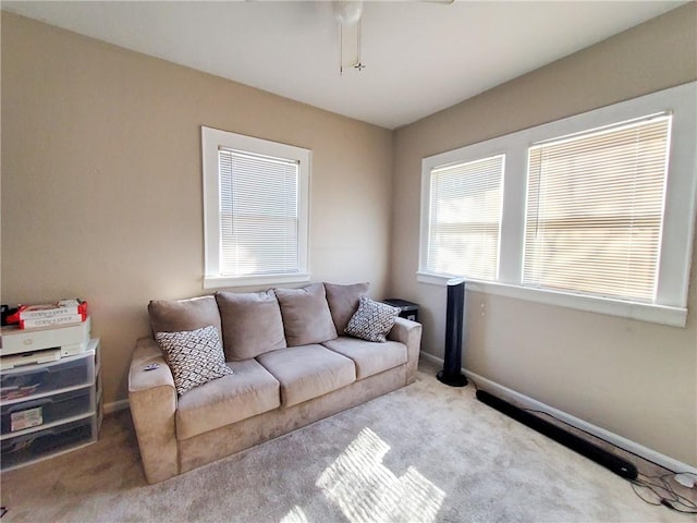 view of carpeted living room