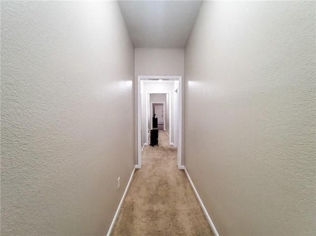 hallway with light carpet