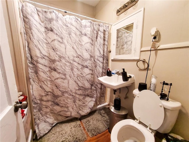 bathroom featuring wood-type flooring, toilet, curtained shower, and sink