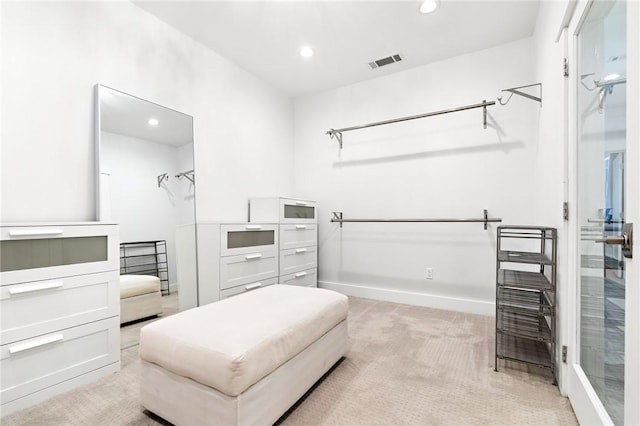 spacious closet with light colored carpet