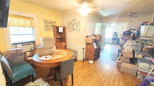 dining area featuring ceiling fan, a healthy amount of sunlight, and light hardwood / wood-style floors