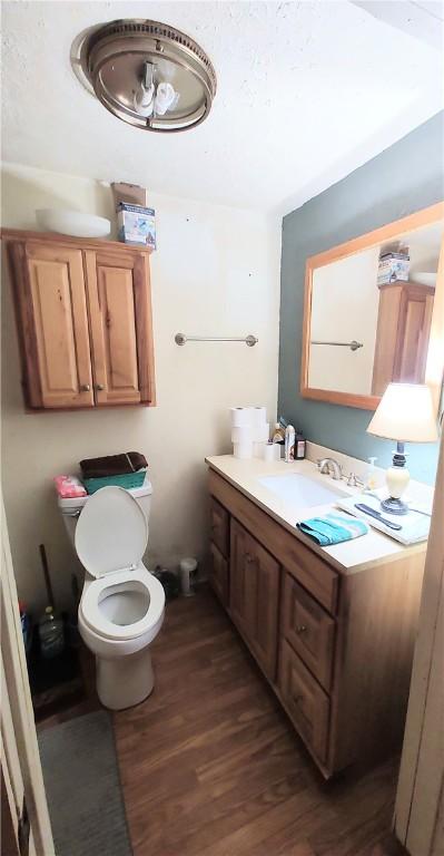 bathroom with vanity, toilet, and wood-type flooring