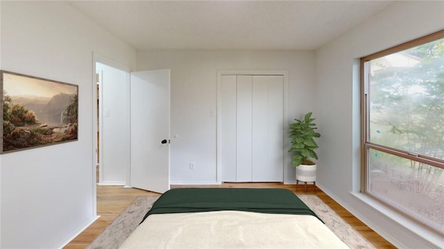 bedroom featuring light wood-type flooring