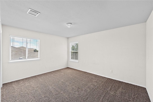 carpeted empty room featuring plenty of natural light and a textured ceiling