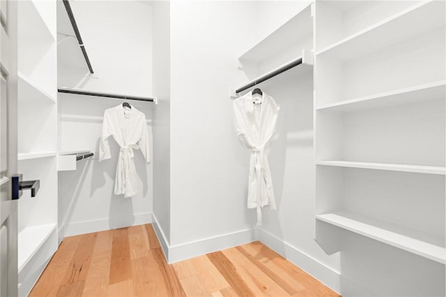 walk in closet with wood-type flooring