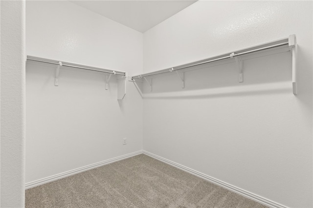 walk in closet featuring carpet floors