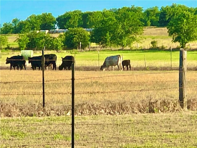 view of home's community with a rural view