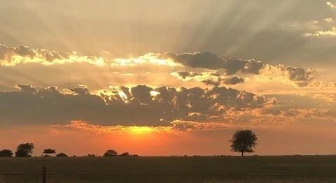 view of nature at dusk