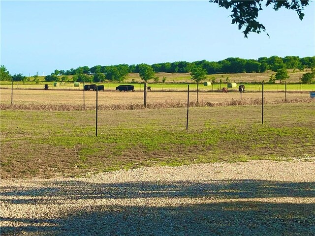 view of yard featuring a rural view