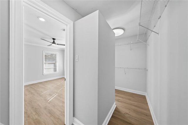 walk in closet featuring hardwood / wood-style flooring and ceiling fan