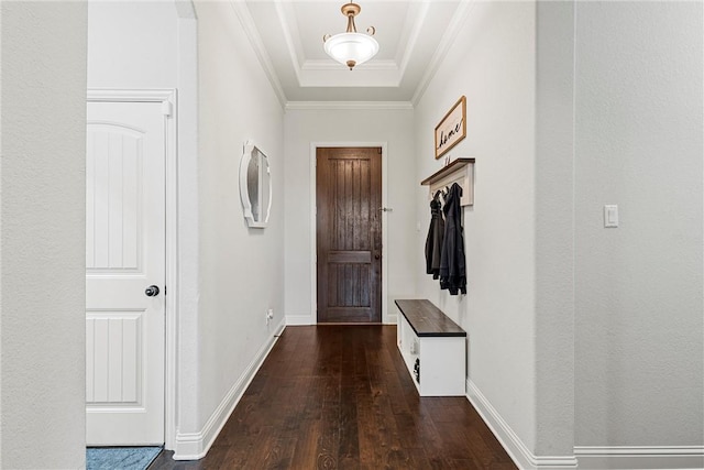 interior space featuring crown molding, dark hardwood / wood-style floors, and a raised ceiling