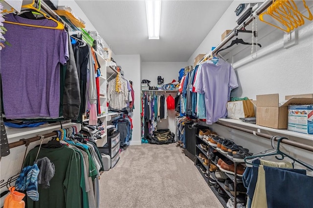 walk in closet featuring light carpet