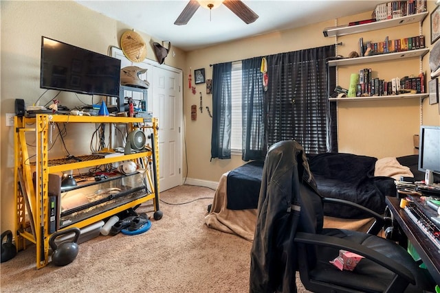 office featuring ceiling fan and carpet