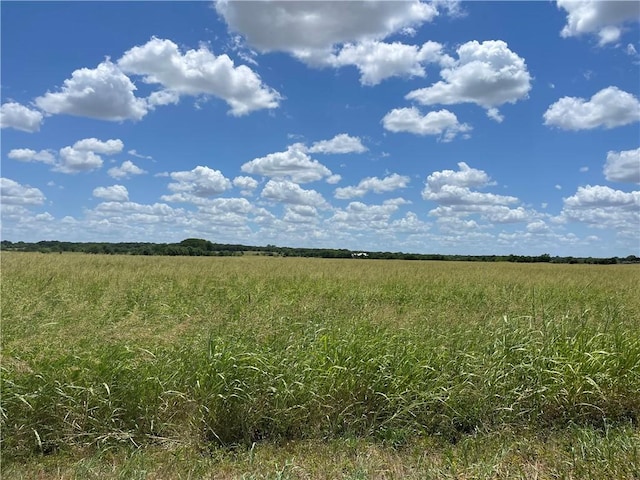 1000 Hobbs Ln, Robinson TX, 76706 land for sale