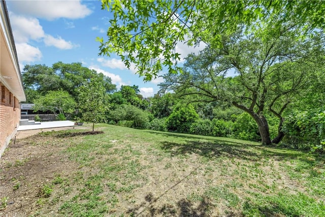 view of yard featuring a patio