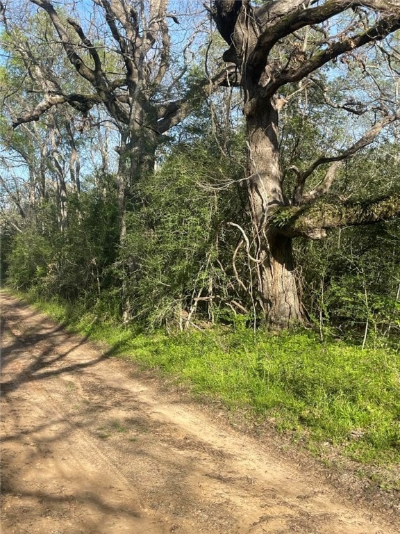 Listing photo 2 for TBD Fm 542 Road, Oakwood TX 75855