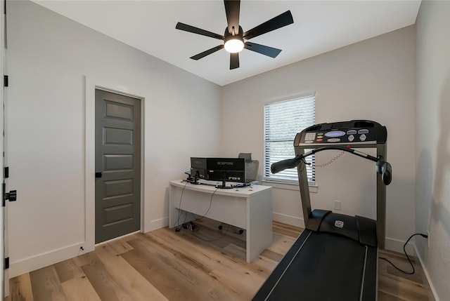 office space featuring light wood-type flooring and ceiling fan