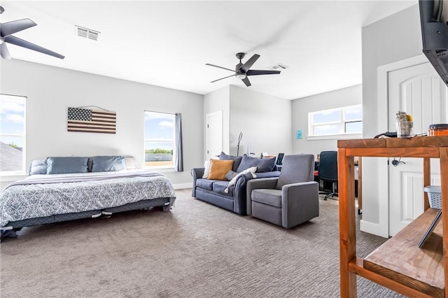 bedroom featuring ceiling fan, multiple windows, and carpet