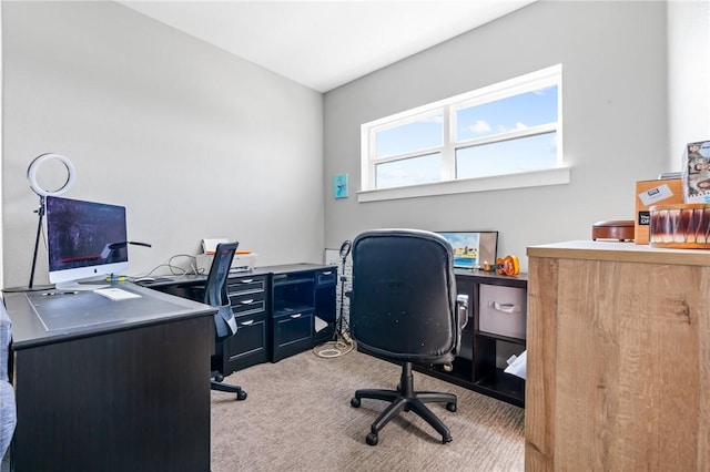 office featuring light carpet