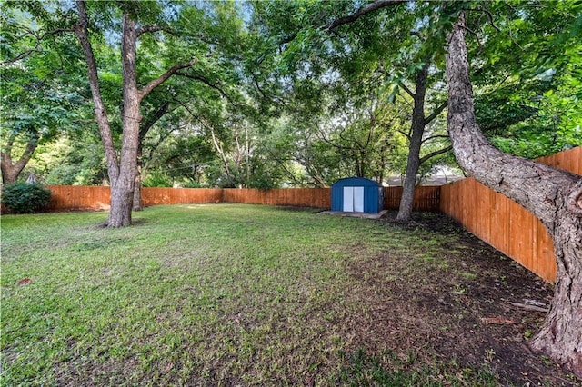 view of yard featuring a shed