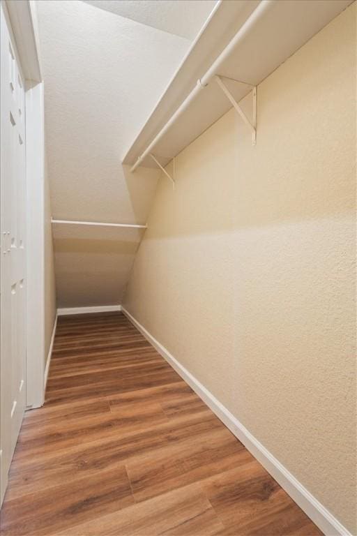 spacious closet featuring wood-type flooring