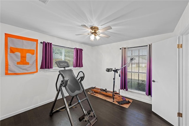 exercise room featuring ceiling fan and dark hardwood / wood-style floors