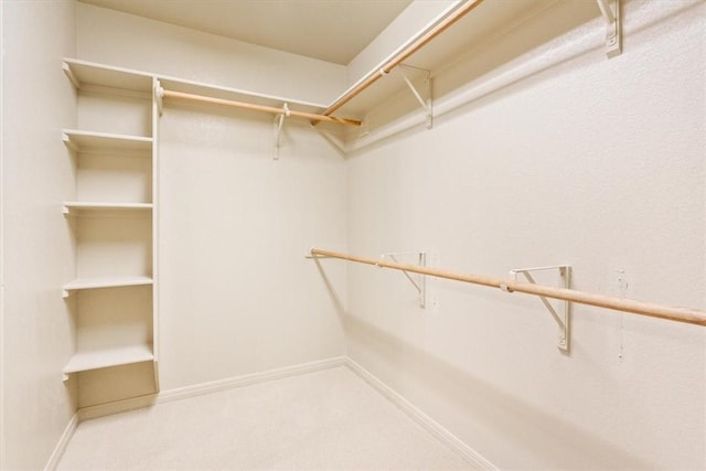 walk in closet featuring carpet