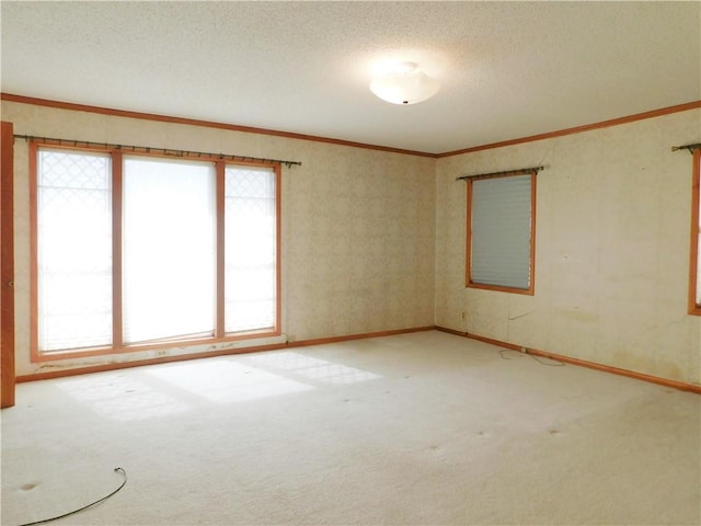 carpeted spare room with ornamental molding and a textured ceiling