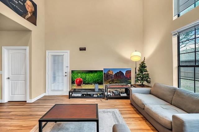 living room with a high ceiling and hardwood / wood-style flooring