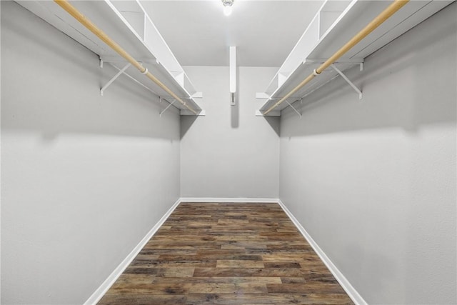 walk in closet with dark wood-type flooring