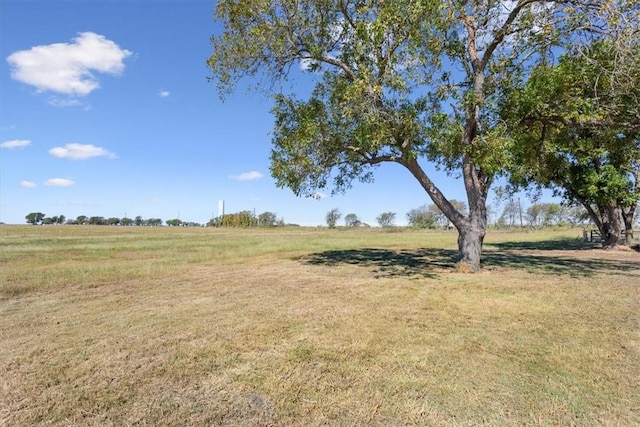 view of yard featuring a rural view