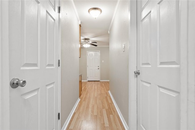 hall featuring light hardwood / wood-style floors and ornamental molding