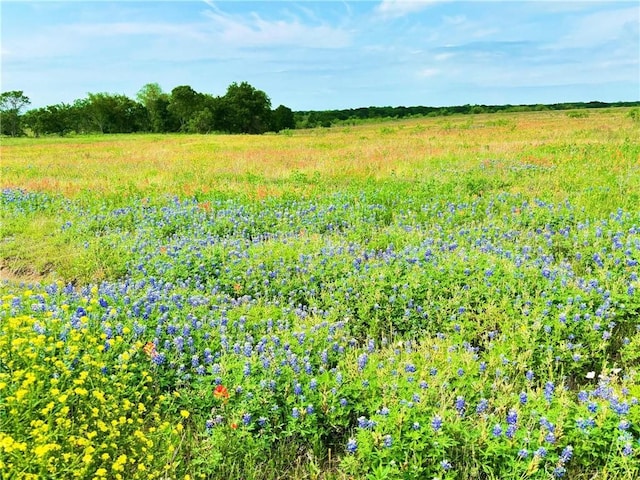 Listing photo 2 for TBD Hcr 3373 Road, Hubbard TX 76648