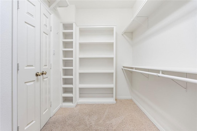 walk in closet with light colored carpet