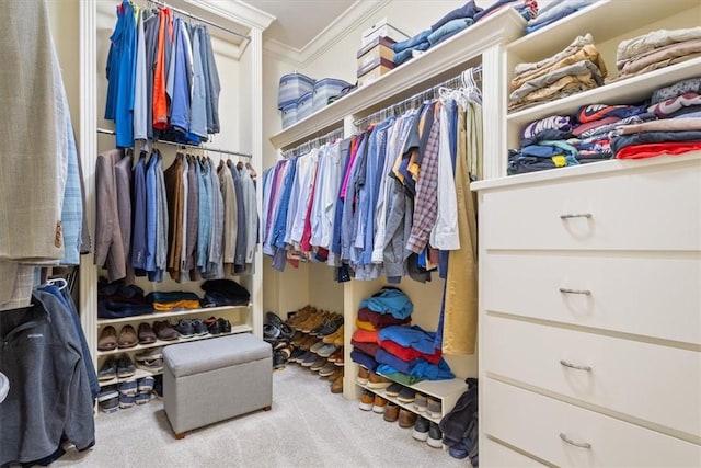 spacious closet with carpet floors