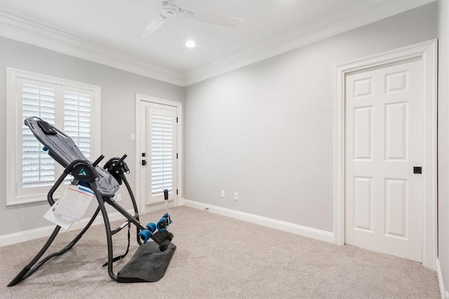 workout room featuring ceiling fan, carpet, and crown molding